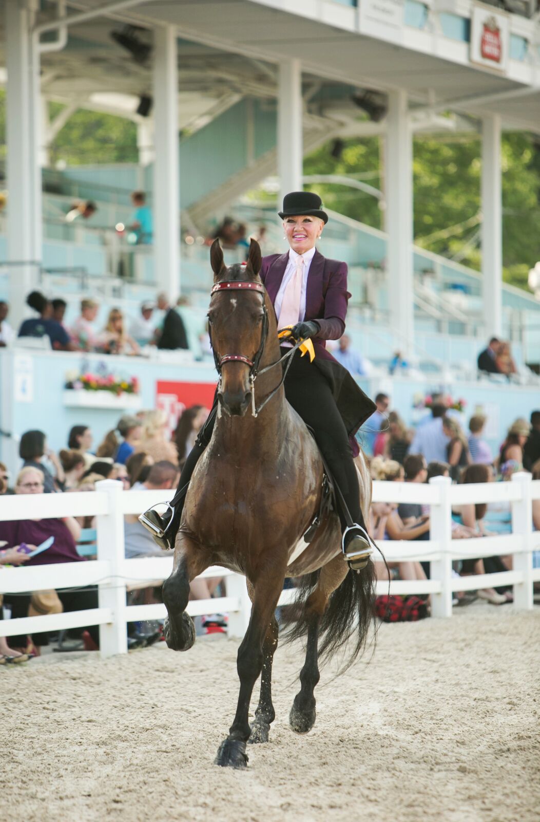 Photo Gallery Devon Horse Show
