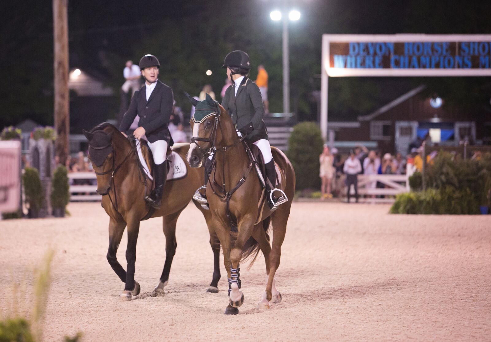 Photo Gallery Devon Horse Show