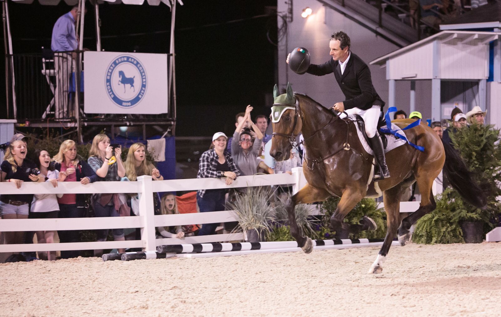Photo Gallery Devon Horse Show