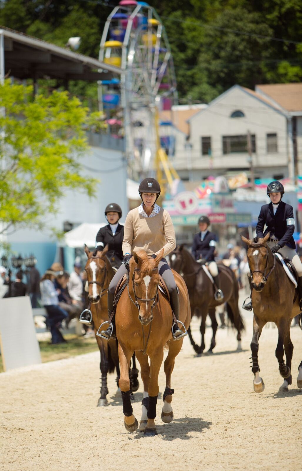 Photo Gallery Devon Horse Show