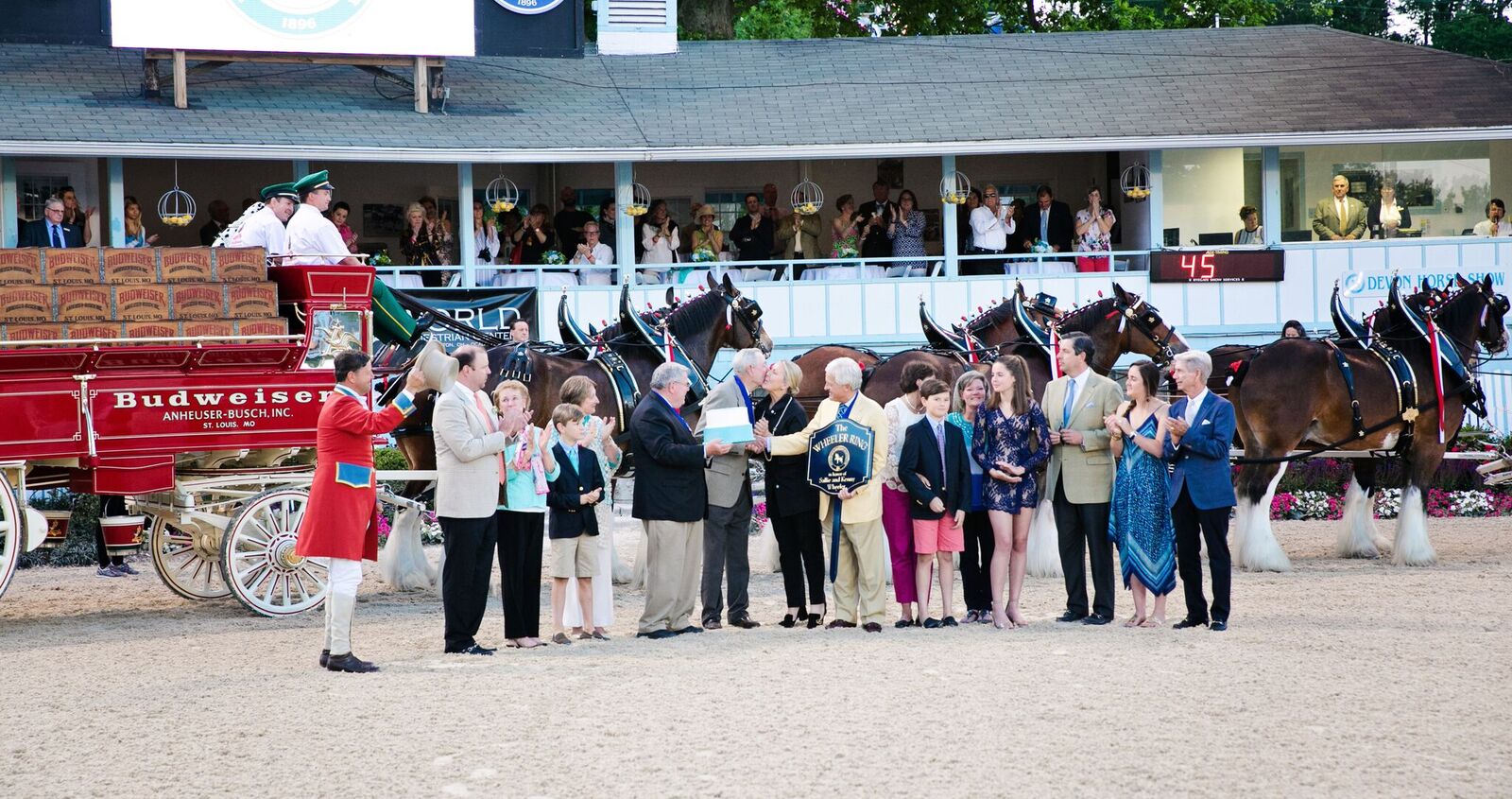 Photo Gallery Devon Horse Show