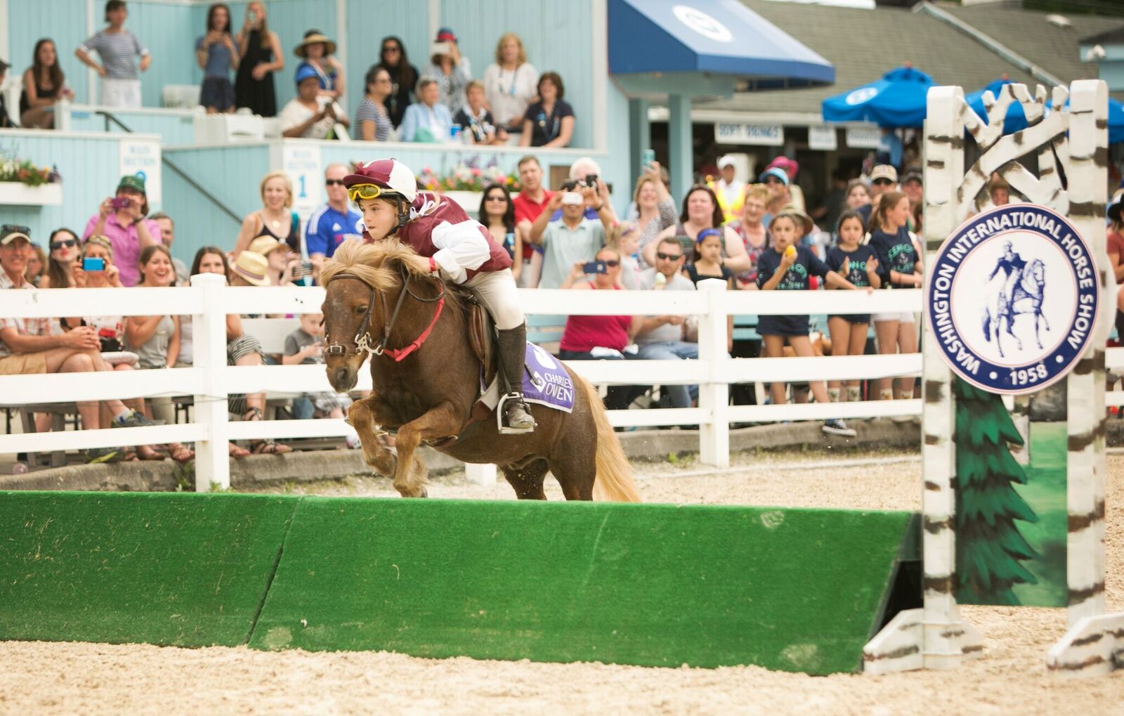 Photo Gallery Devon Horse Show