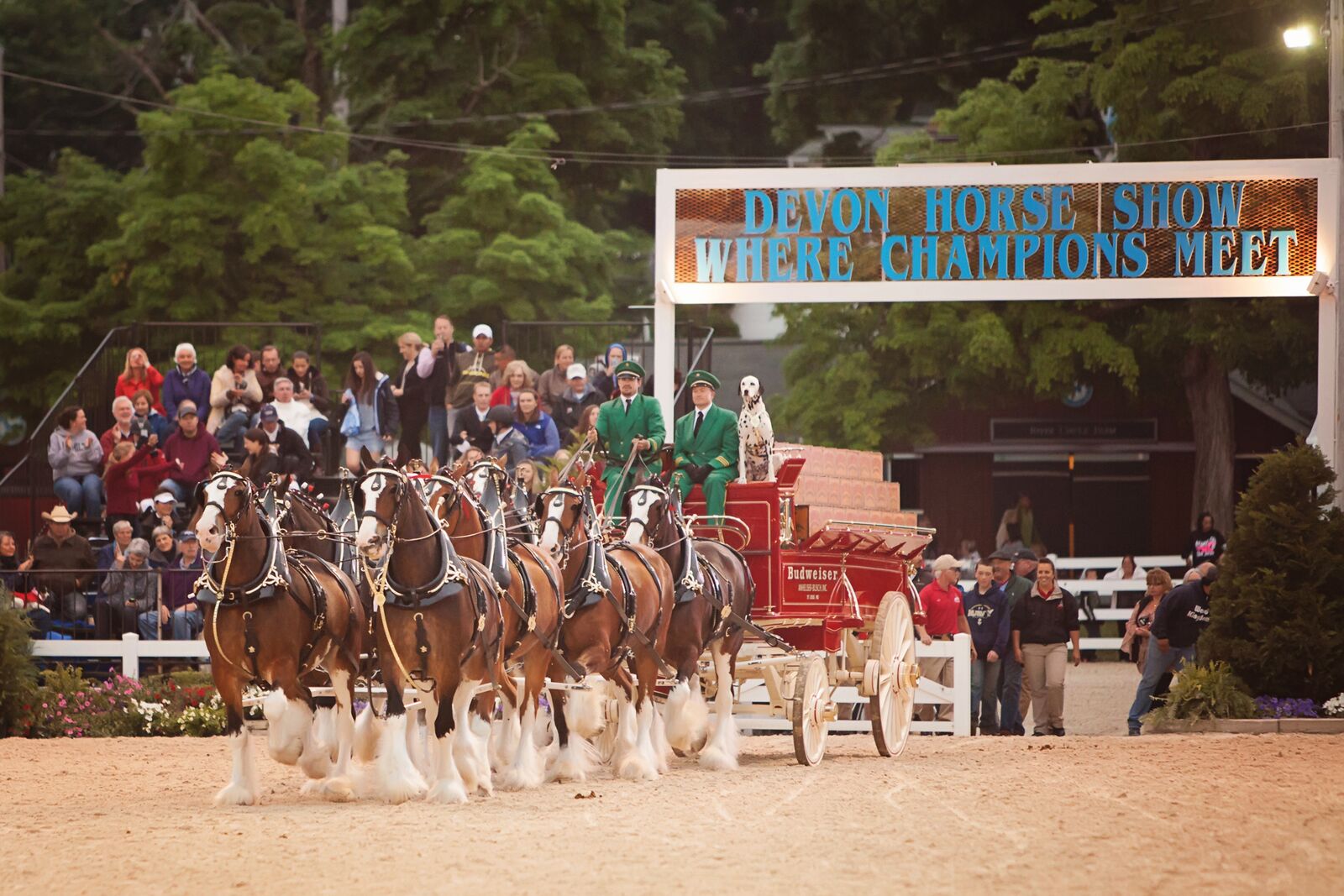 Photo Gallery Devon Horse Show