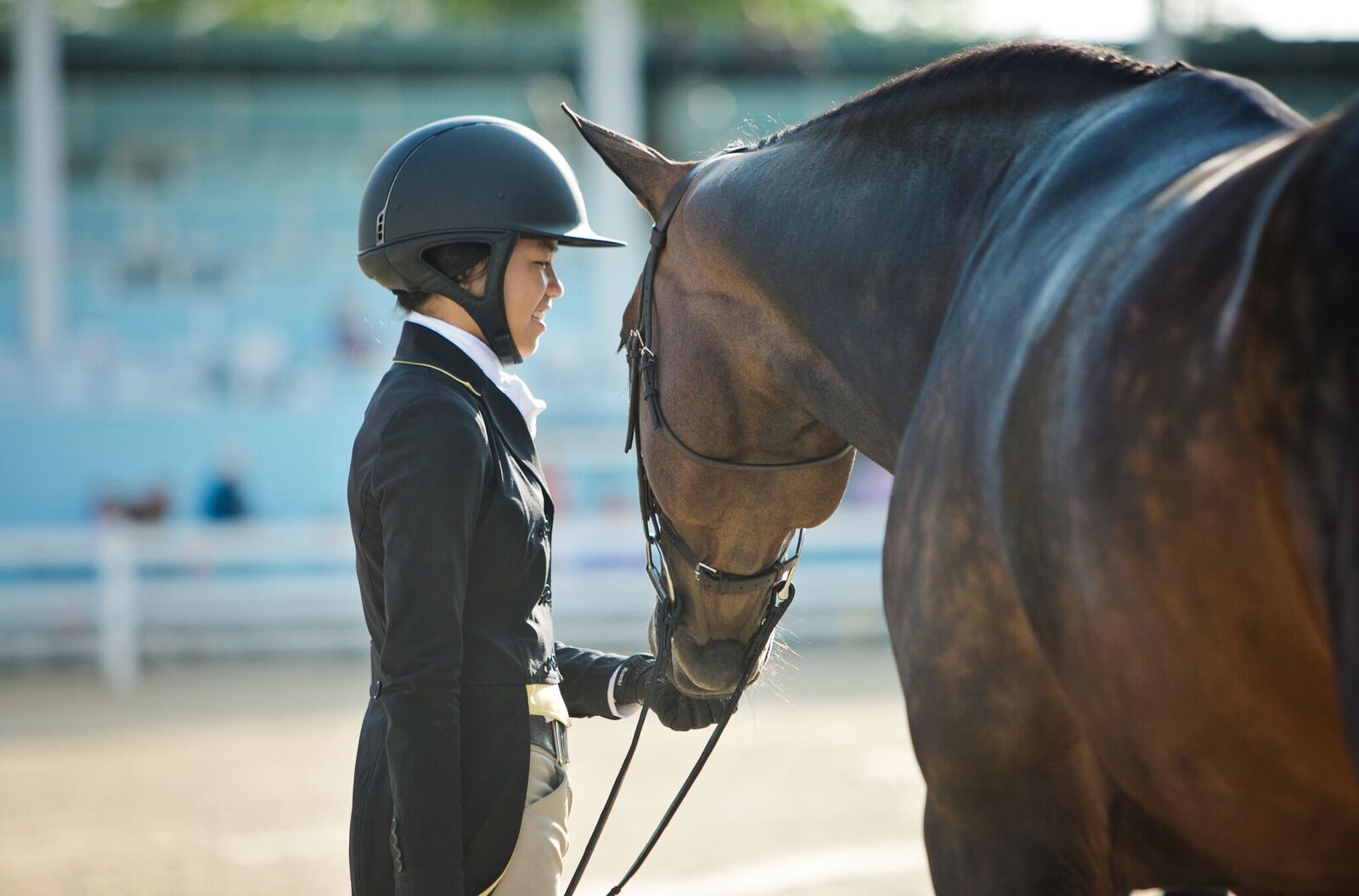 Photo Gallery Devon Horse Show